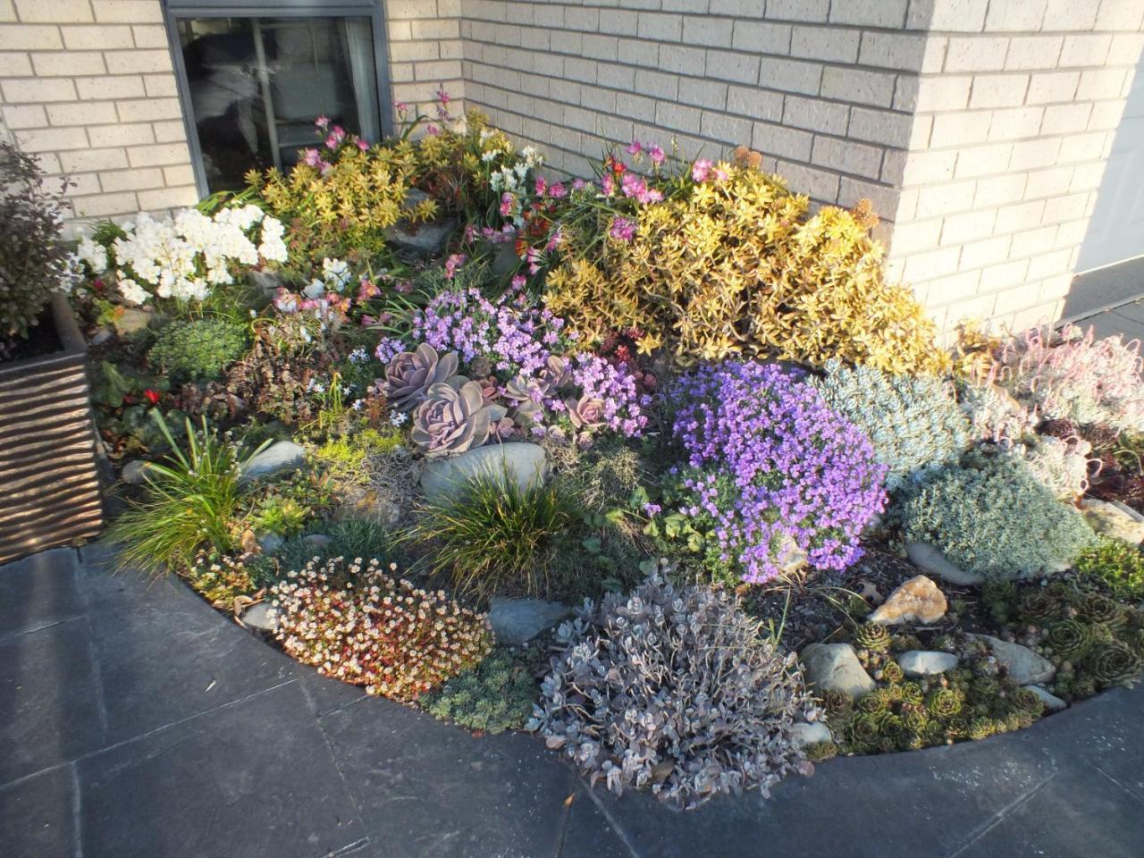 Perfect Home, Stunning Gardens - Aidanfield Gardens Bellissimo Christchurch Exterior foto
