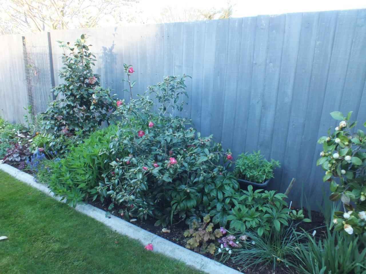 Perfect Home, Stunning Gardens - Aidanfield Gardens Bellissimo Christchurch Exterior foto