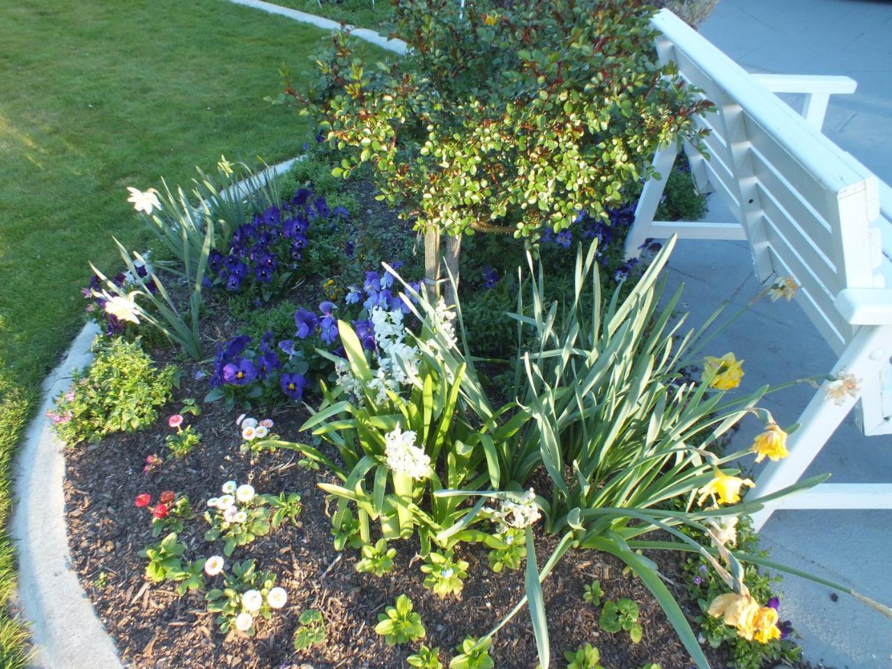 Perfect Home, Stunning Gardens - Aidanfield Gardens Bellissimo Christchurch Exterior foto