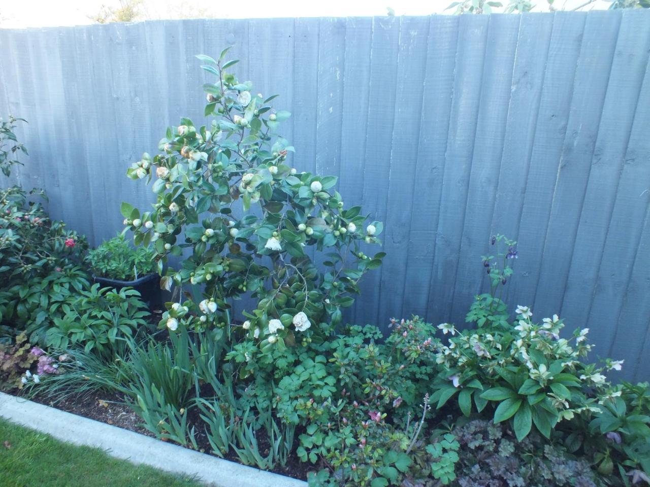 Perfect Home, Stunning Gardens - Aidanfield Gardens Bellissimo Christchurch Exterior foto