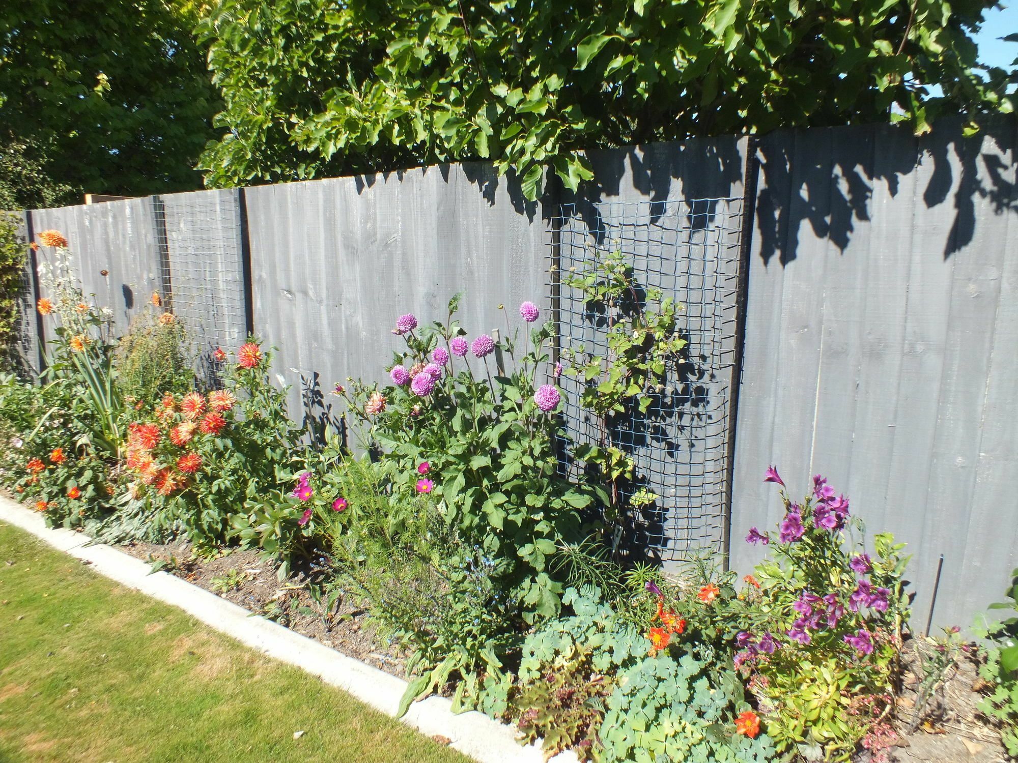 Perfect Home, Stunning Gardens - Aidanfield Gardens Bellissimo Christchurch Exterior foto